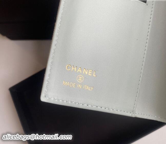 Market Sells Chanel Grained Calfskin Passport Cover A80385 Pale Green 2024