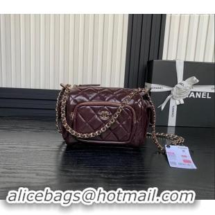 Top Grade Chanel Shiny Crumpled Lambskin Small Camera Case bag AS5220 Burgundy 2024