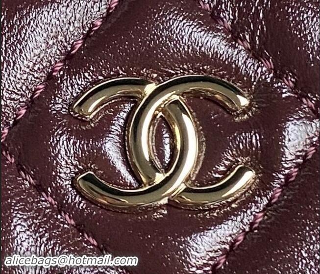 Top Grade Chanel Shiny Crumpled Lambskin Small Camera Case bag AS5220 Burgundy 2024