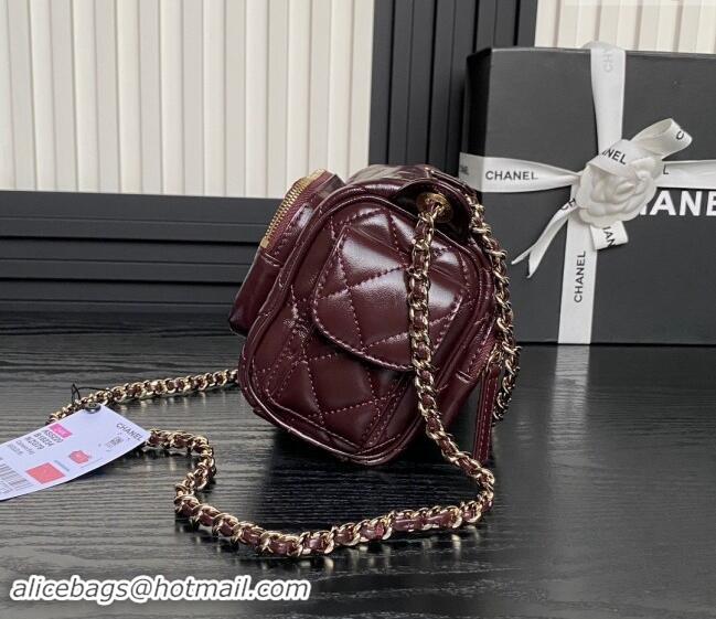 Top Grade Chanel Shiny Crumpled Lambskin Small Camera Case bag AS5220 Burgundy 2024