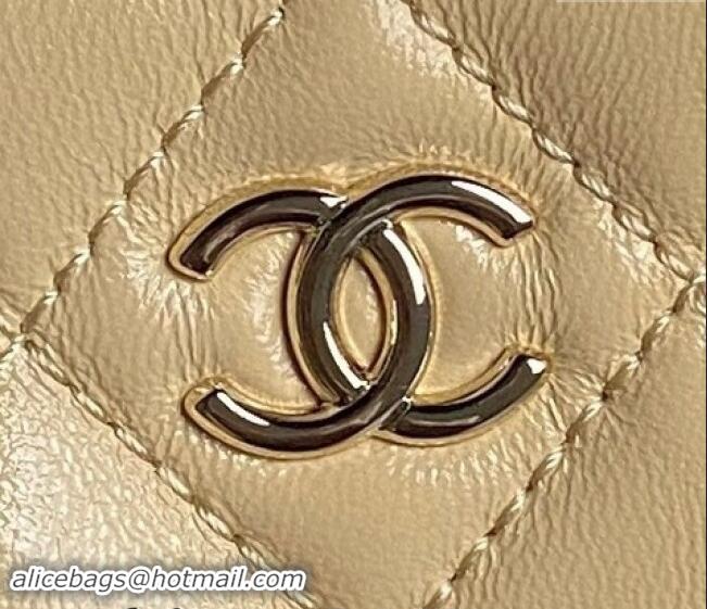 Reasonable Price Chanel Shiny Crumpled Lambskin Small Camera Case bag AS5220 Beige 2024