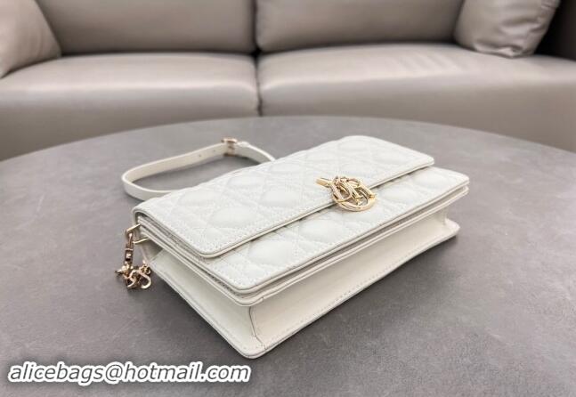 Unique Style Dior My Dior Top Handle Bag in Cannage Lambskin 0997 White 2024