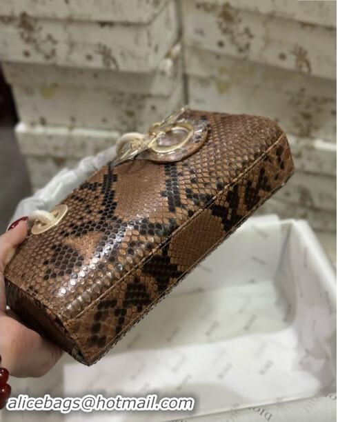 Grade Quality Dior Lady D-Joy Small Bag in Python Leather D0101 Brown 2024