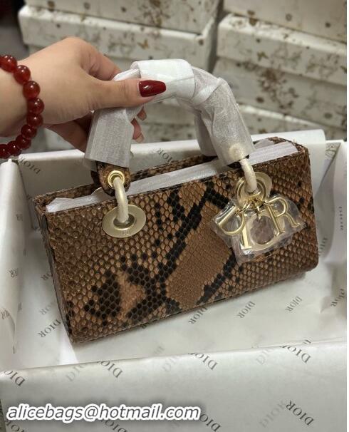 Grade Quality Dior Lady D-Joy Small Bag in Python Leather D0101 Brown 2024