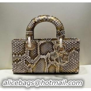 Luxury Discount Dior Lady D-Joy Small Bag in Python Leather D0101 Grey/Gold 2024