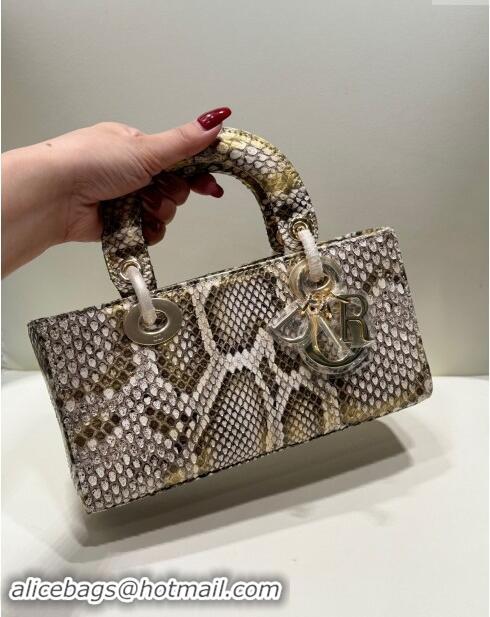 Luxury Discount Dior Lady D-Joy Small Bag in Python Leather D0101 Grey/Gold 2024