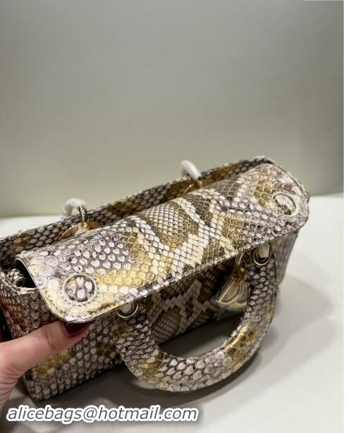 Luxury Discount Dior Lady D-Joy Small Bag in Python Leather D0101 Grey/Gold 2024