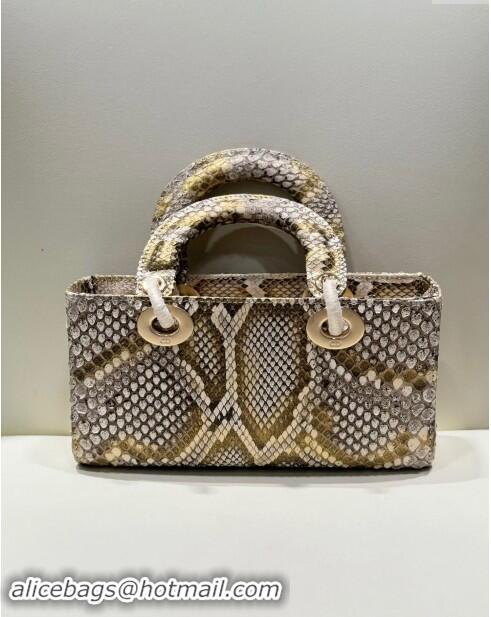 Luxury Discount Dior Lady D-Joy Small Bag in Python Leather D0101 Grey/Gold 2024