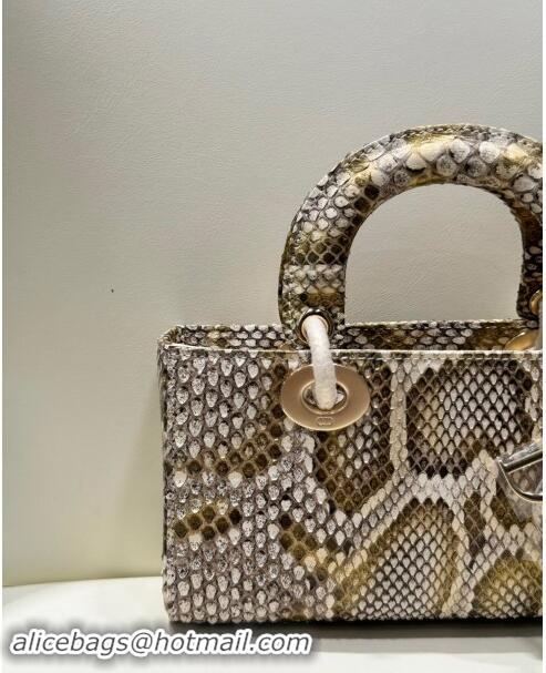 Luxury Discount Dior Lady D-Joy Small Bag in Python Leather D0101 Grey/Gold 2024