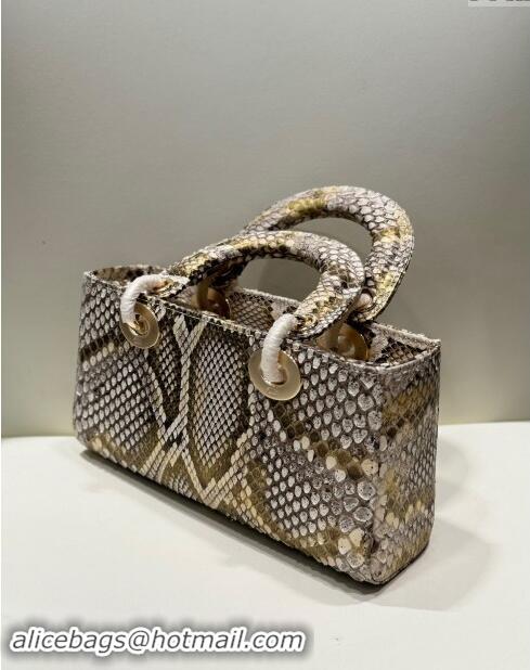 Luxury Discount Dior Lady D-Joy Small Bag in Python Leather D0101 Grey/Gold 2024