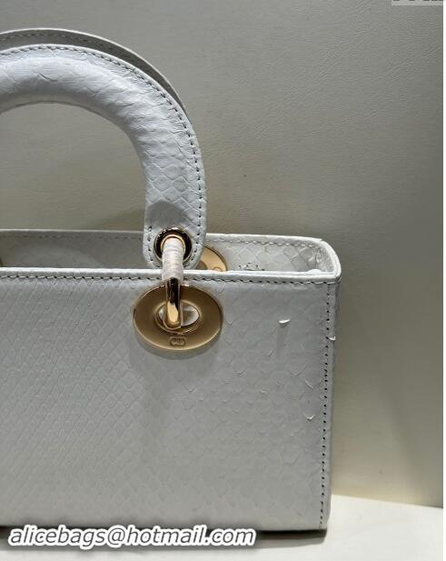 Well Crafted Dior Lady D-Joy Small Bag in Python Leather D0101 White 2024