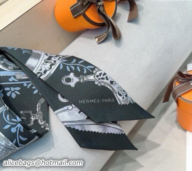 Most Popular Hermes Stirrup Twilly Silk Bandeau Scarf 5x86cm 0821 Black 2024