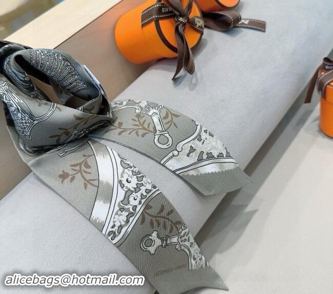 Trendy Design Hermes Stirrup Twilly Silk Bandeau Scarf 5x86cm 0821 Grey 2024