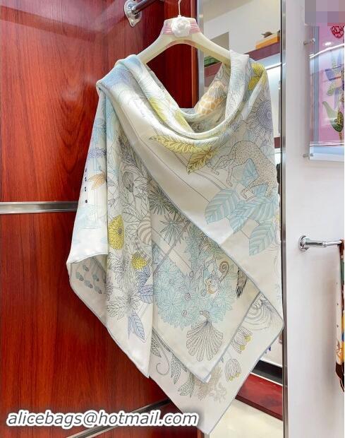 Promotional Hermes Precious Paradise Cashmere Shawl Scarf 140cm H1087 Grey 2024