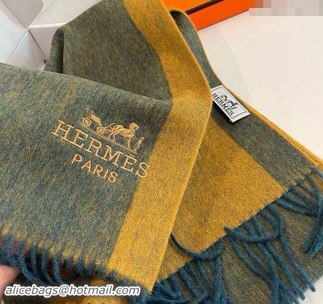 Luxury Grade Hermes Cashmere Long Scarf 30x180cm 1021001 Green/Yellow 2024