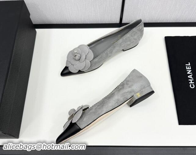 Grade Quality Chanel Suede & Calfskin Pointed Ballet Flats with Camellia Bloom Grey 1017096