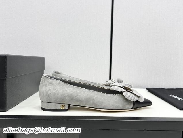 Grade Quality Chanel Suede & Calfskin Pointed Ballet Flats with Camellia Bloom Grey 1017096