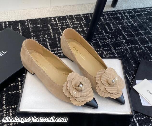 Low Price Chanel Suede & Calfskin Pointed Ballet Flats with Camellia Bloom Beige 1017097