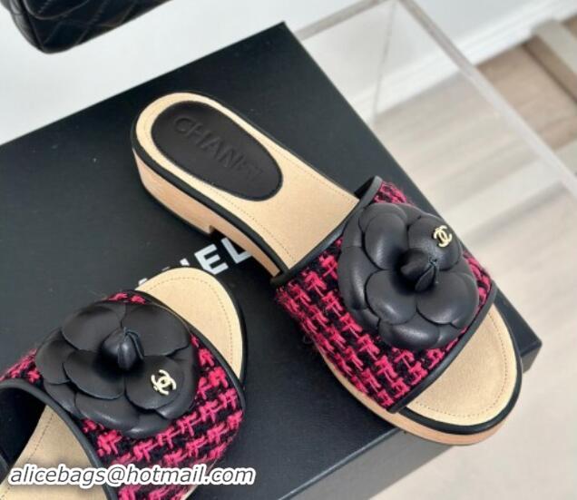 Sumptuous Chanel Tweed Wood Slides Sandal 4cm with Camellia Bloom Dark Pink/Black 1017104