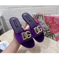 Best Product Dolce & Gabbana DG Velvet Flat Slide Sandals Purple 604096