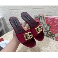 Shop Duplicate Dolce & Gabbana DG Velvet Flat Slide Sandals Burgundy 604097