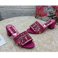 Comfortable Dolce & Gabbana DG Embroidered Heel Slides Sandal 6.5cm Pink 813013