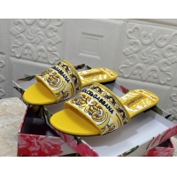 Pretty Style Dolce & Gabbana DG Embroidered Flat Slides Sandal Yellow 813015