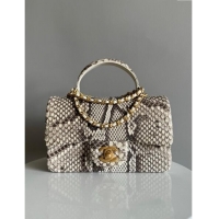 Buy Grade Chanel Mini Classic Flap Bag with Top Handle in Pythonskin Leather AS2431 Grey 2024