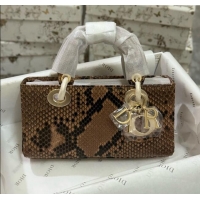 Grade Quality Dior Lady D-Joy Small Bag in Python Leather D0101 Brown 2024