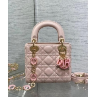 Discount Dior Mini L...