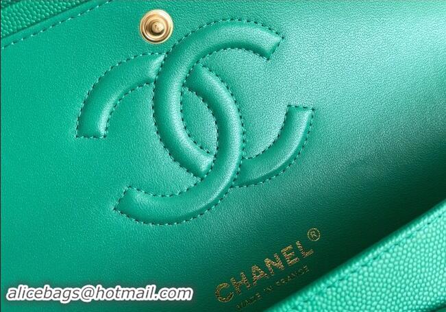 Grade Design Chanel Quilted Grained Calfskin Classic Medium Flap bag A01112 Green 2024