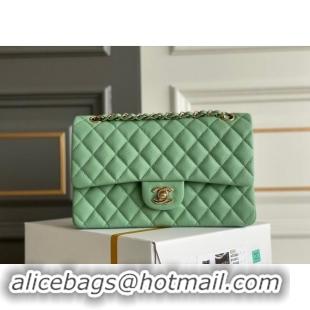 Most Popular Chanel Quilted Grained Calfskin Classic Medium Flap bag A01112 Light Green 2024