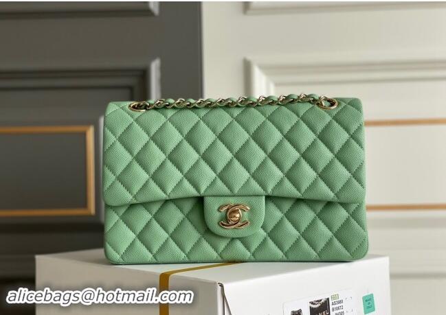 Most Popular Chanel Quilted Grained Calfskin Classic Medium Flap bag A01112 Light Green 2024