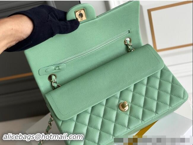 Most Popular Chanel Quilted Grained Calfskin Classic Medium Flap bag A01112 Light Green 2024