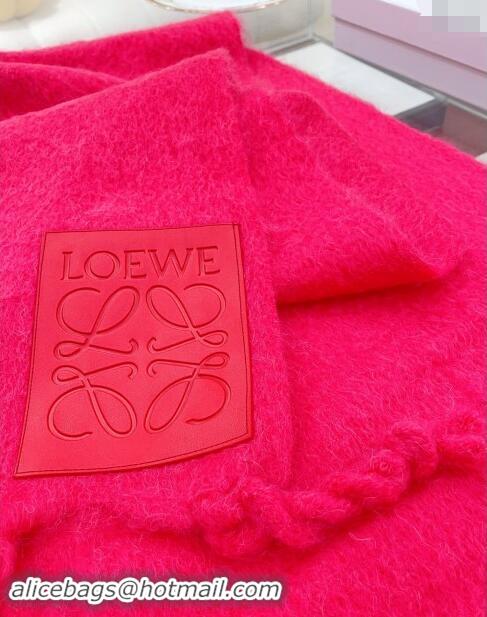 Cheapest Loewe Wool and Mohair Long Scarf 35x200cm 0130 Pink 2024