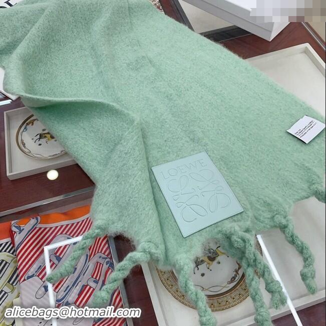 Top Design Loewe Wool and Mohair Long Scarf 35x200cm 0130 Light Green 2024