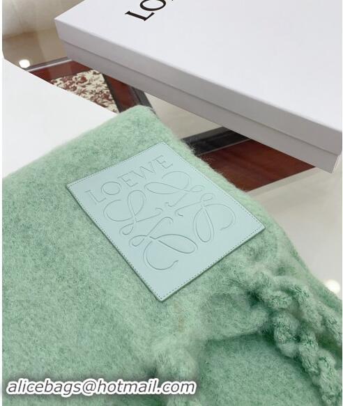 Top Design Loewe Wool and Mohair Long Scarf 35x200cm 0130 Light Green 2024