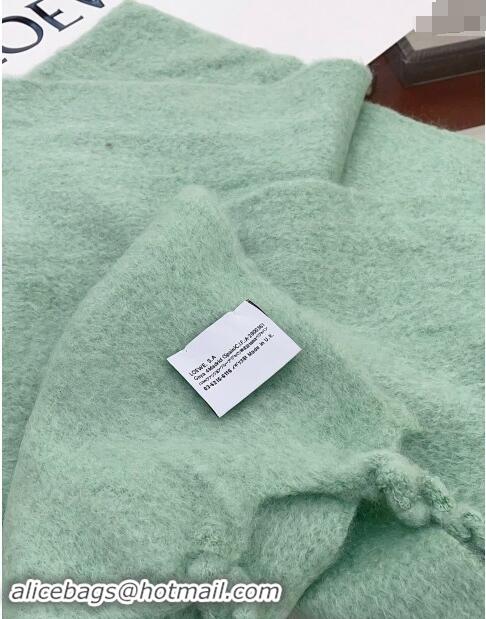 Top Design Loewe Wool and Mohair Long Scarf 35x200cm 0130 Light Green 2024