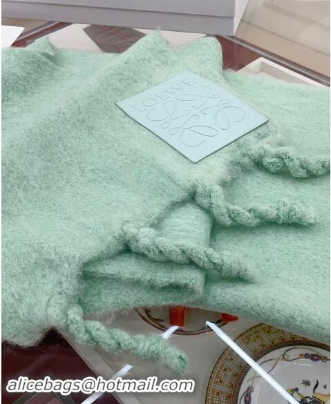 Top Design Loewe Wool and Mohair Long Scarf 35x200cm 0130 Light Green 2024