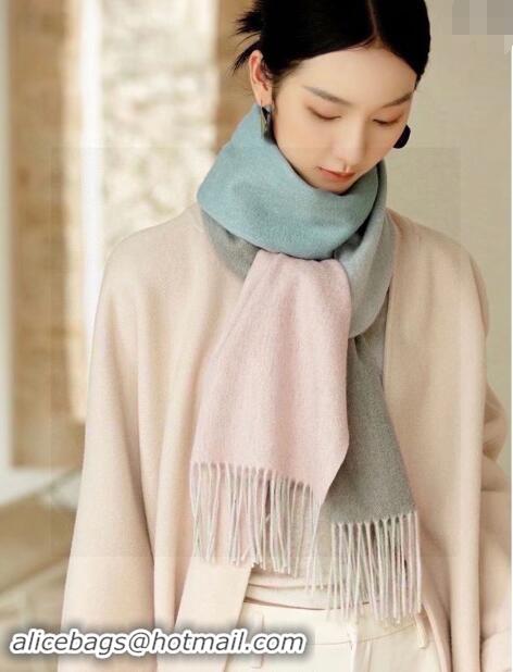 Top Design Loewe Logo Patch Cashmere Long Scarf 32x190cm 0912 Pink 2024