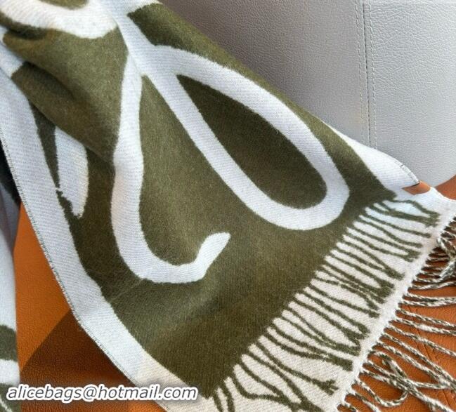 Good Quality Loewe Maxi Anagram Long Scarf 1128 Green 2024  