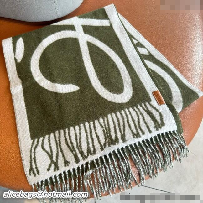 Good Quality Loewe Maxi Anagram Long Scarf 1128 Green 2024  