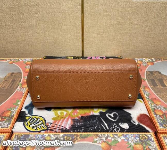 Good Quality Dolce&Gabbana Classic Medium Sicily Palm-Grained Leather Top Handle Bag 6113 Brown 2023