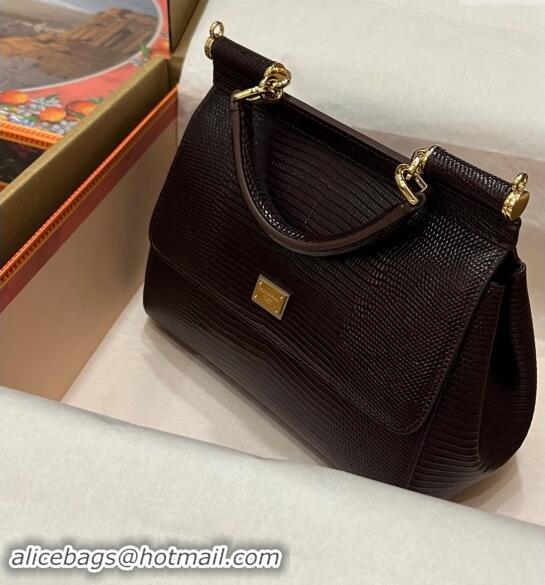 Top Grade Dolce&Gabbana Small Sicily handbag in lizard Embossed Leather BB6112 Brown 2023