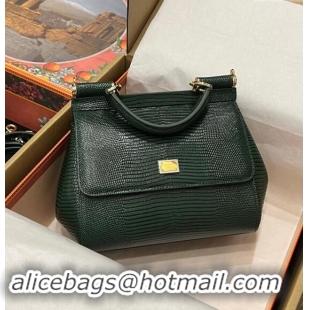 Top Grade Dolce&Gabbana Small Sicily handbag in lizard Embossed Leather BB6112 Green 2023