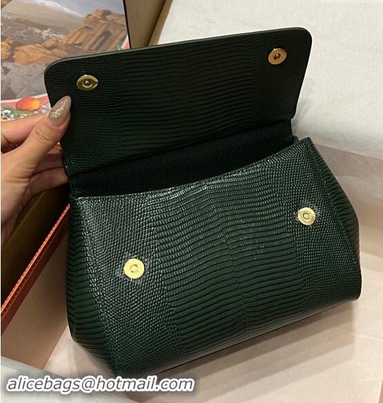 Top Grade Dolce&Gabbana Small Sicily handbag in lizard Embossed Leather BB6112 Green 2023