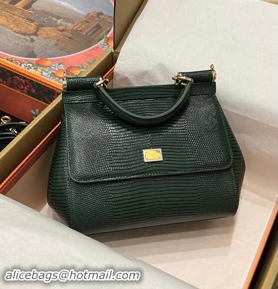 Top Grade Dolce&Gabbana Small Sicily handbag in lizard Embossed Leather BB6112 Green 2023