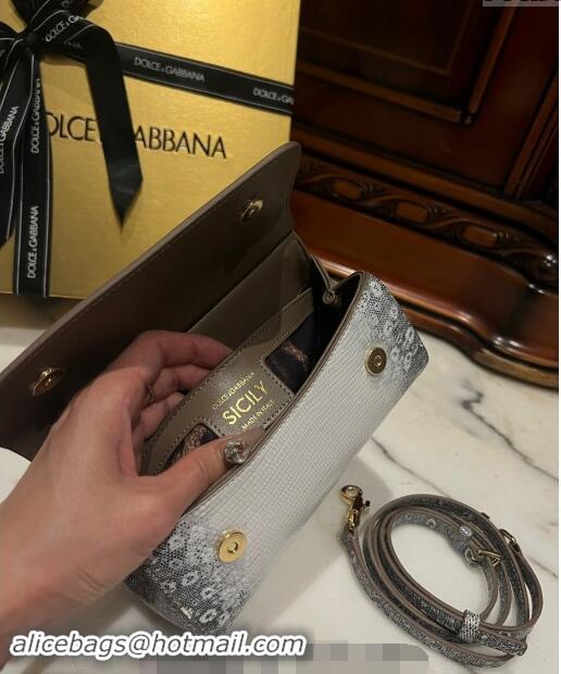 Popular Style Dolce&Gabbana Small Sicily handbag in lizard Embossed Leather D9161 White/Black 2024