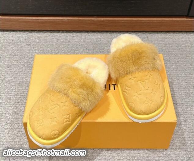 Stylish Louis Vuitton Suede and Mink Fur Flat Slippers Yellow 1014112