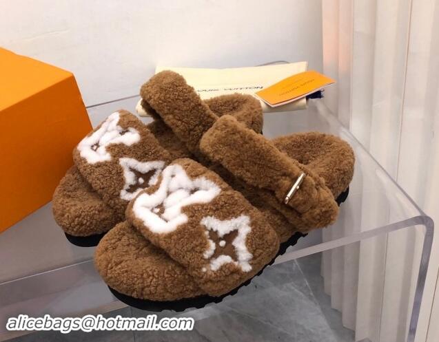 Buy Luxury Louis Vuitton Wool Fur Flat Slides Sandal with Buckle Brown 1015066